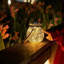 Pierview LED Outdoor Hanging Lantern