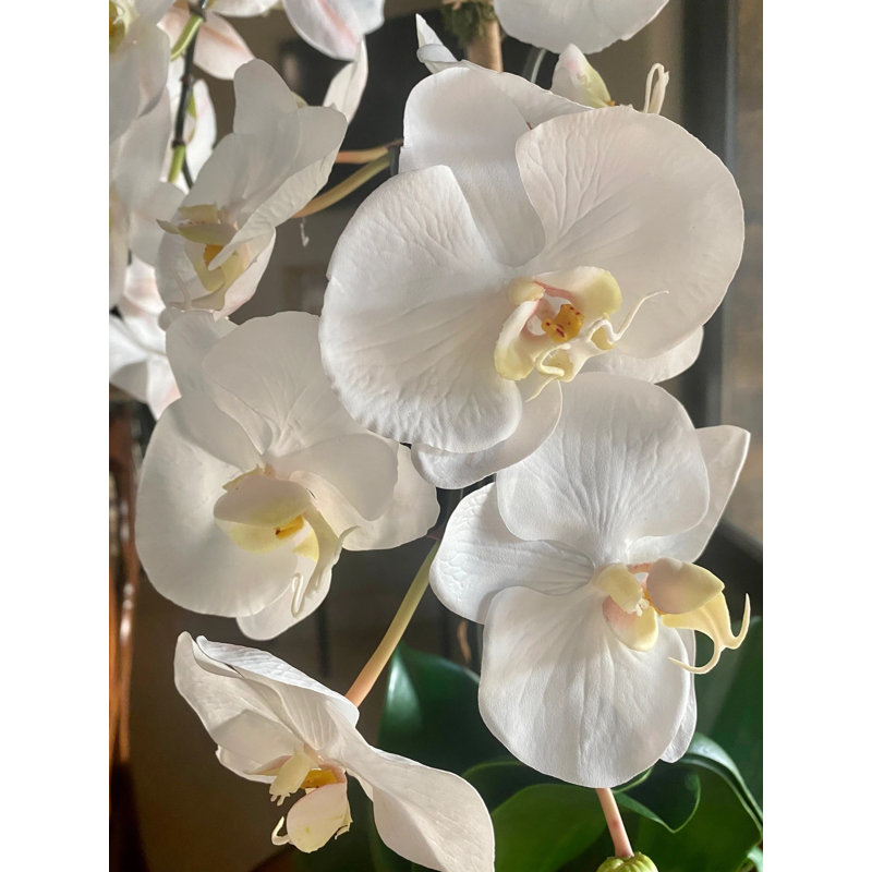 Silk Orchid Arrangement, White
