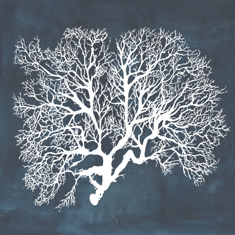 Inverse Sea Fan III by Grace Popp - Wrapped Canvas Painting, 30cm H x 30cm W x 3.8cm D
