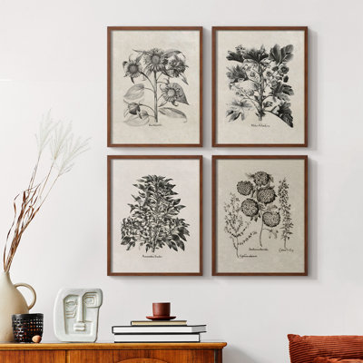 «Vintage Floral Print CCSCXX», 4 pièces sur papier