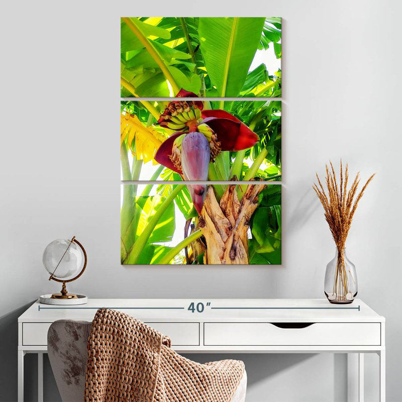 Harnek Banana Palm Heart, H 32 po x l 20 po