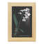 Orchidée sur ardoise VI - impression d'un seul cadre photo-90584907-90584898