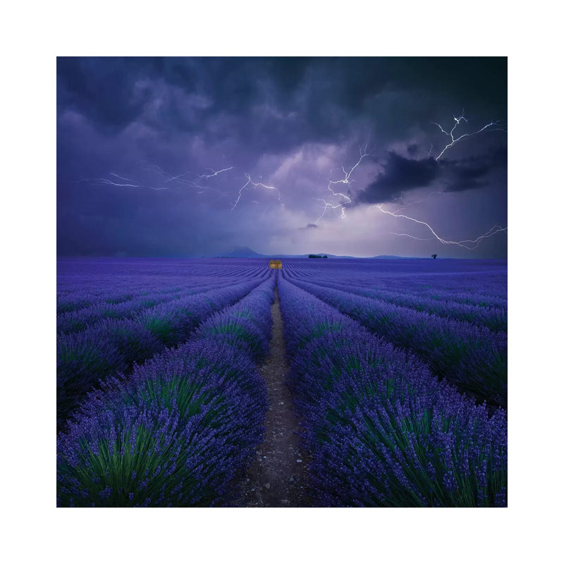 Wetter Im Lavendelfeld 1 Piece Wrapped Canvas Wall Art, 45.72 cm H x 45.72 cm W x 1.91 cm D