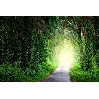 Dark Forest - Wrapped Canvas Print