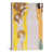 Toile tendue