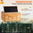 Beekeeping Woodenware