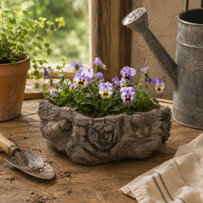 Cahoon Statue Planter