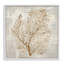 Giclée encadrée botanique Beige Tides, design par Hannah Dawson-1708651111-1708651099
