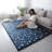 Rayle Washable Rug-1448549299