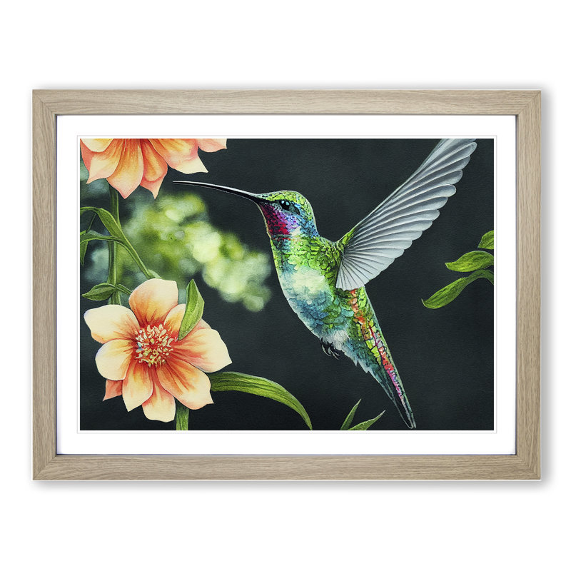 Hummingbird Vol.3 - Single Picture Frame Print, 46cm H x 64cm W x 2cm D, Oak