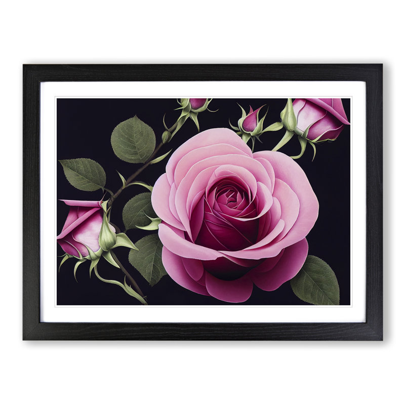 Cute Rose Flowers - Framed Print, Black, 46cm H x 64cm W x 2cm D