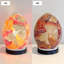 Oakhur Novelty Lamp-26974661