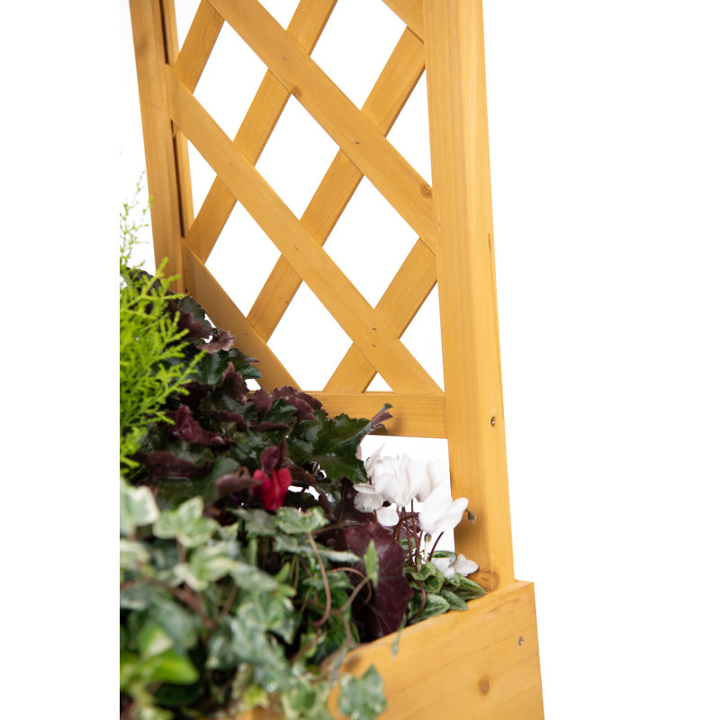 Aubreyelle 433.07cm W x 106.68cm D Solid Wood Arbour in Natural