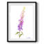 «Annie's Foxglove I», reproduction encadrée