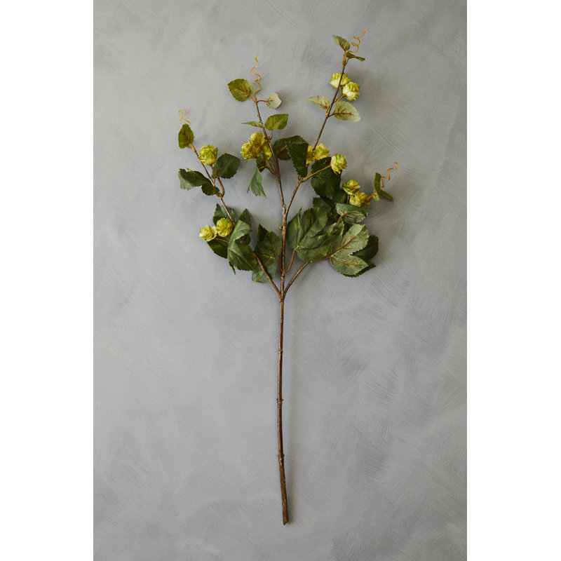 Fiori Hops Arrangement