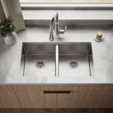 Strive 32" L x 18-1/4" W x 9-5/16" Under-Mount Double-Equal Kitchen Sink with Basin Rack
