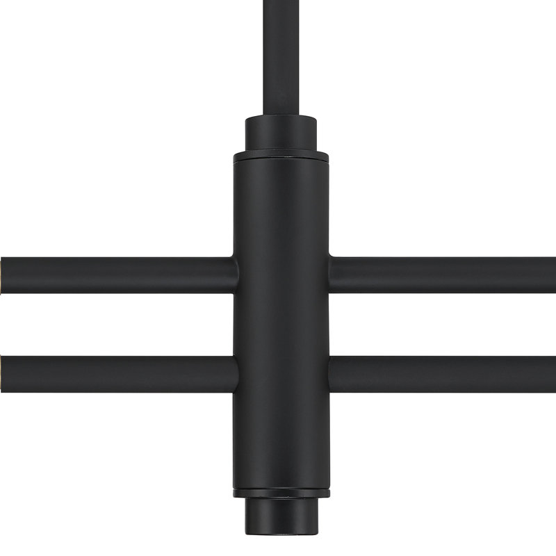 Grand lustre à 2 tiges Hunter Camelia, Matte Black