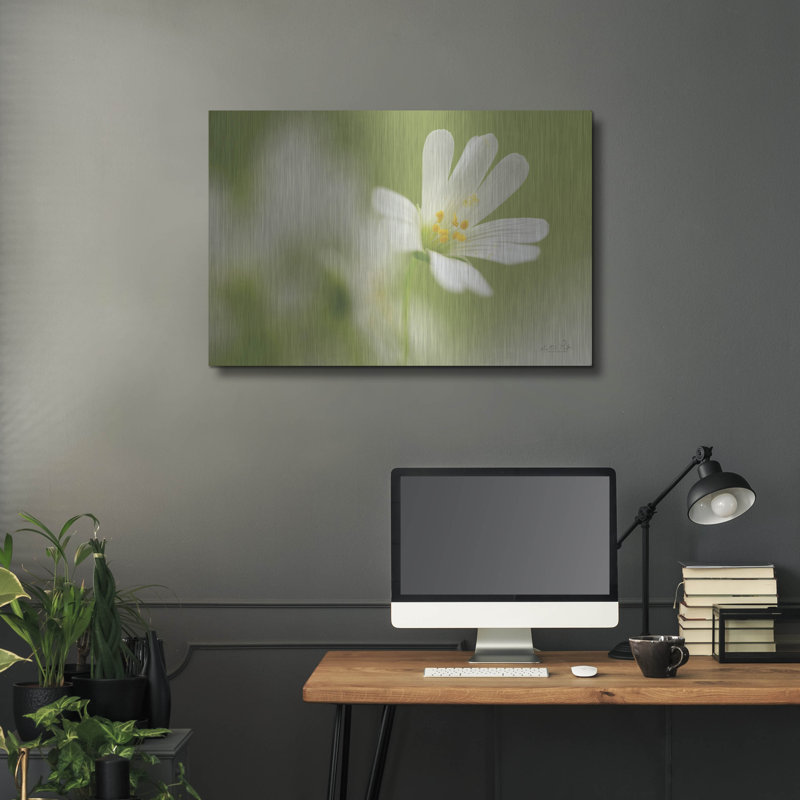 «Stellaria Holostea» par Martin Podt, H 24 po x l 36 po