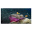 «Clownfish Hosting the Pink Anemone», reproduction de photo sur toile tendue-29504822