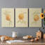 «Dappled Oranges I», toile tendue avec châssis de qualité supérieure - prête à être accrochée-254680764