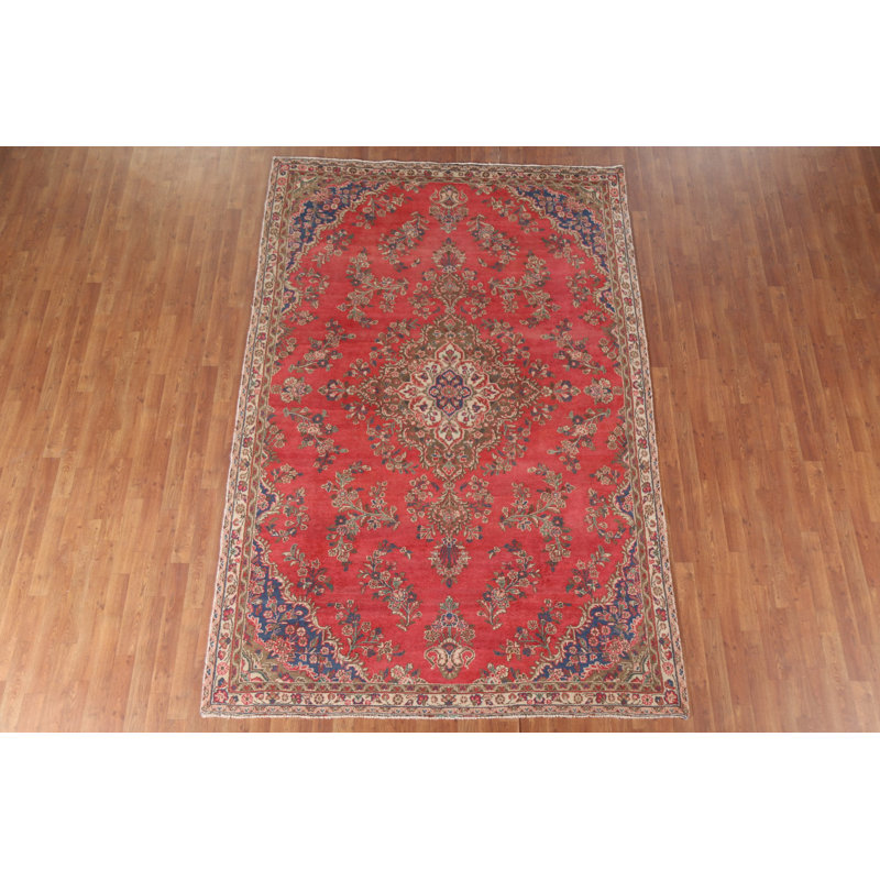 Floral  Traditional Area Rug 7x10