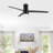 Blainey 52'' Ceiling Fan with LED Lights