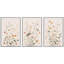 "Soft Pastel Wildflower Botanical Composition", reproduction d'art encadrée sur toile, 3 pièces-125120383-125120384