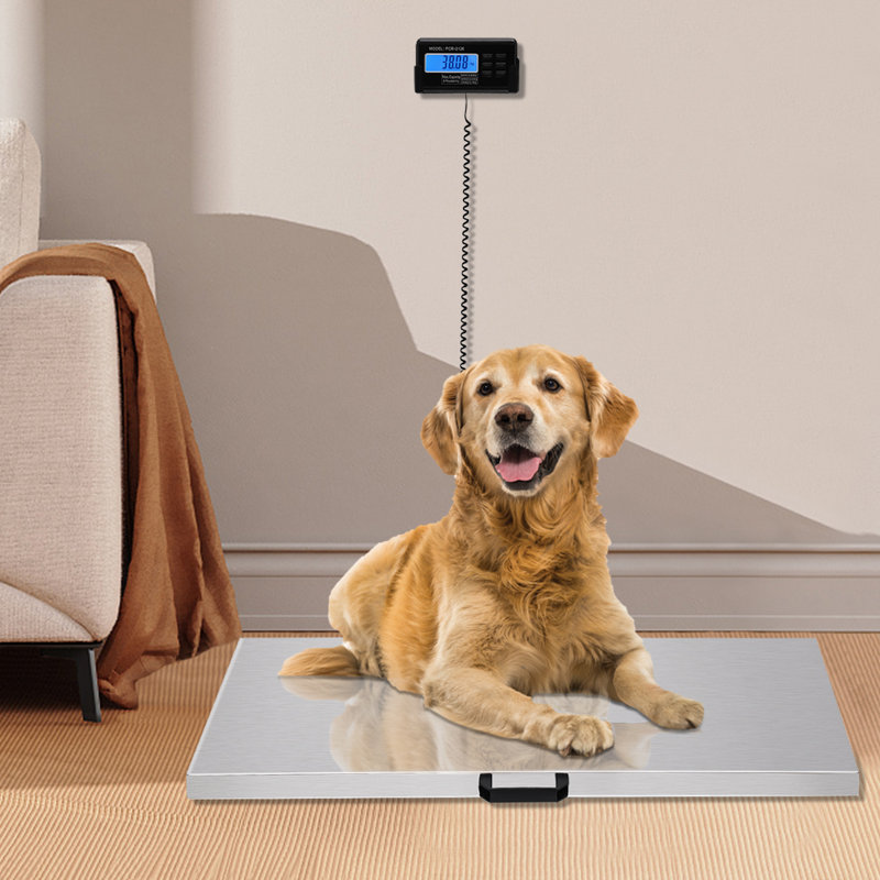 40.7'' W Digital Pet Scale
