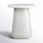 Kerri End Table-1209456396