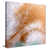 Wrapped Canvas selected