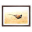 A Pheasant Bird in Abstract - Picture Frame Painting Print-55629687-55629691