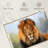 Proud Lion Canvas Print-1000649962