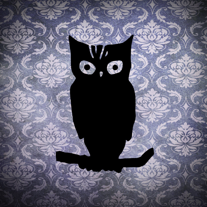 Owl & Damask by Vision Studio - Wrapped Canvas Art Prints, 30cm H x 30cm W x 3.8cm D