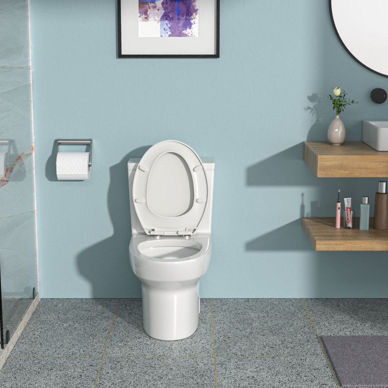 Ceramic One Piece Toilet,Dual Flush With Soft Clsoing Seat