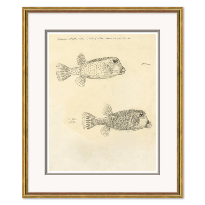 Odd Fish Giclee Print by Marcel Bourgeois