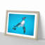 Swimming Penguin - Picture Frame Painting Print-55616726-55616731