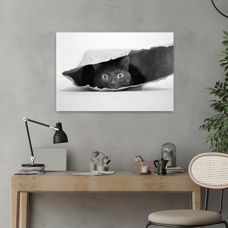 «Curious Black Cat», art mural contemporain, H 16 po x l 24 po