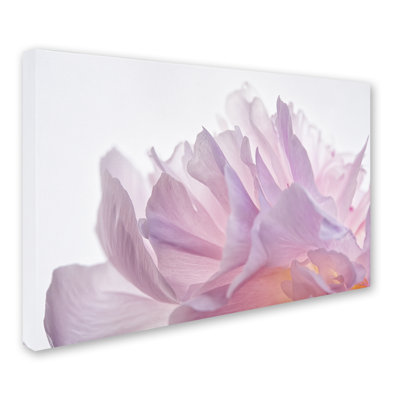« rose pivoine pétales vi », reproduction de photo sur toile tendue