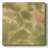 Botanical Aura II-Gallery Wrapped Canvas-1511681866