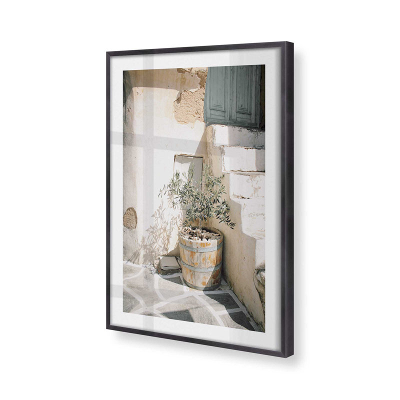 Olive Tree in the Sun Print, Weathered Zinc Single Picture Framed, 15.25" H x 12.25" W x 1.25" D