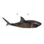 Figurine à fixation murale Great Shark