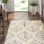 Hand-Knotted High-Quality Ivory and Black Area Rug