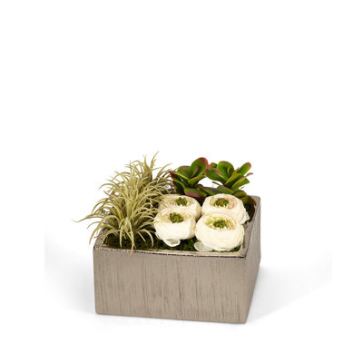 Arrangement floral de fleurs de chou géométriques en pot
