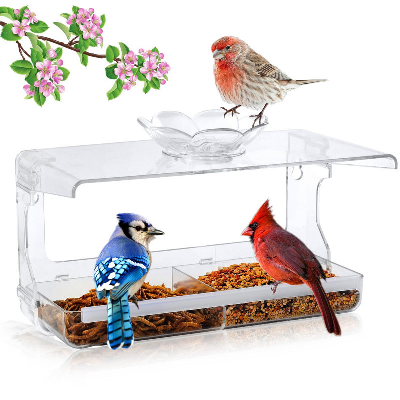 Mangeoire pour oiseaux transparente et transparente