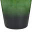 Vase décoratif en verre The Novogratz-2130114287