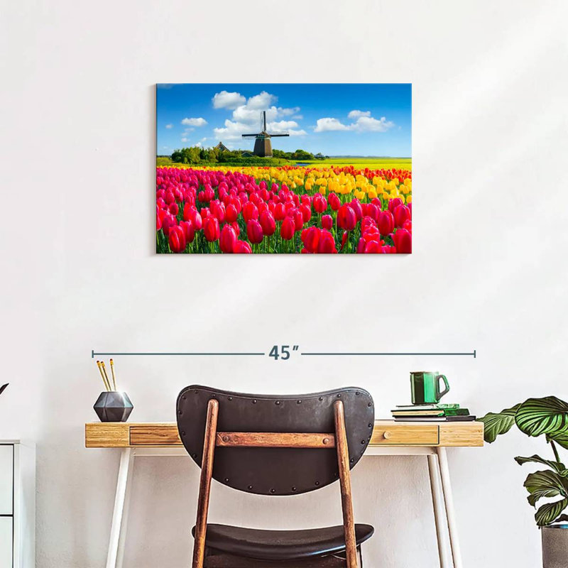 Champ de tulipes Alvord Holland, H 20 po x l 30 po