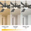 Ventilateur de plafond 60 po avec lumières DEL Leresa-1333922609