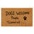 Matherne Non-Slip Outdoor Doormat