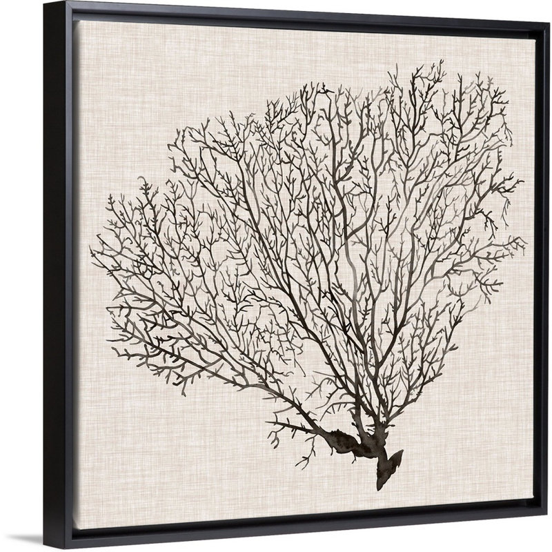 Art mural sur toile Shadow Sea Fan IV, H 26 po x l 26 po x P 2 po, Cadre noir