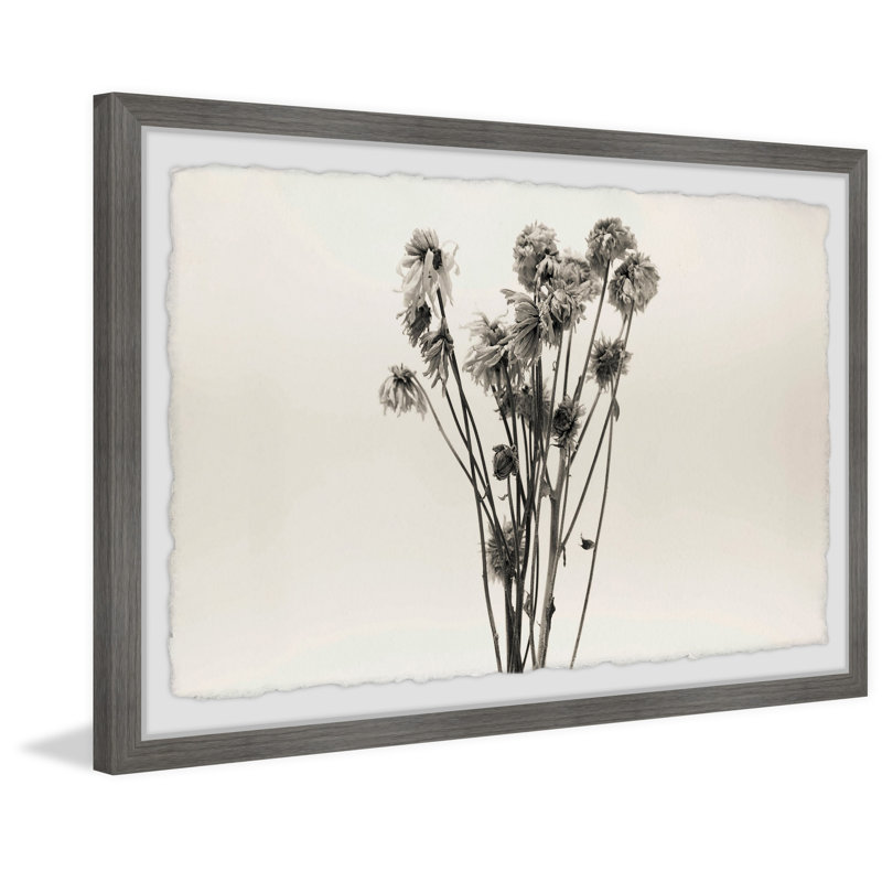 Dandelion In Grey - Single Picture Frame Painting, 61 cm H x 91 cm W